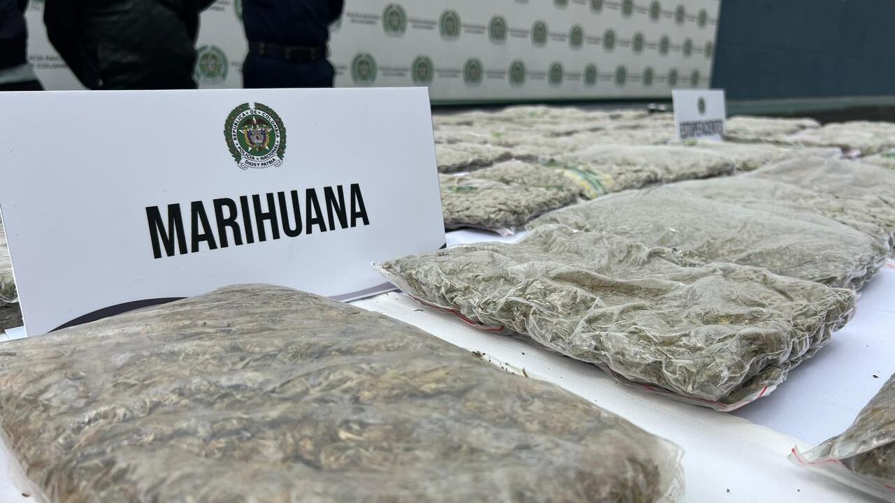 La policía metropolitana logró incautar 60 kilos de marihuana escondidos bajo tierra
