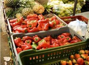 Las verduras se observaron disminuciones en las cotizaciones del pimentón, la cebolla cabezona blanca, el apio, la espinaca, la coliflor, el chócolo mazorca, la zanahoria, el brócoli, la cebolla junca, la lechuga Batavia y el tomate chonto.