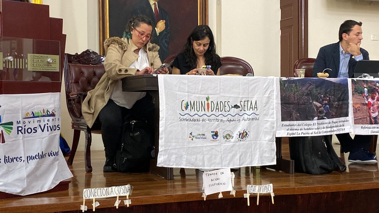 Melisa Ruiz, viceministra de energía, actualmente encargada de la cartera de Minas, durante audiencia pública sobre transición energética.