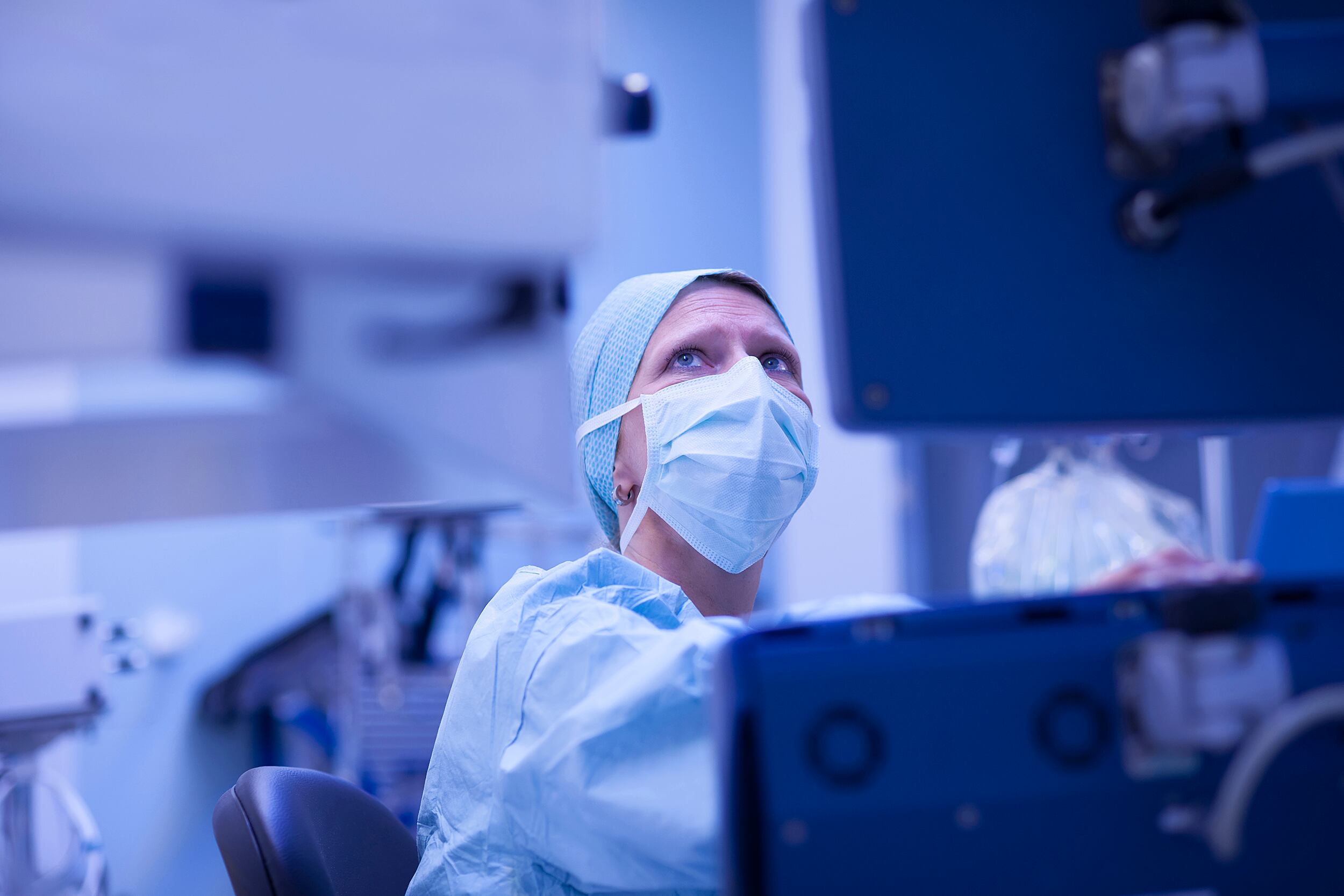 Anestesista comprobando el torrente sanguíneo externo en monito