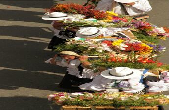 Aproximadamente 25 tipos de flores diferentes se usan para elaborar una silleta tradicional. En algunas pueden encontrarse más de 70 variedades.