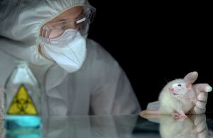 El objetivo del estudio era comprobar si el tejido cerebral podía recuperar su funcionamiento después de haber sido completamente detenido mediante criopreservación. (Imagen de referencia).