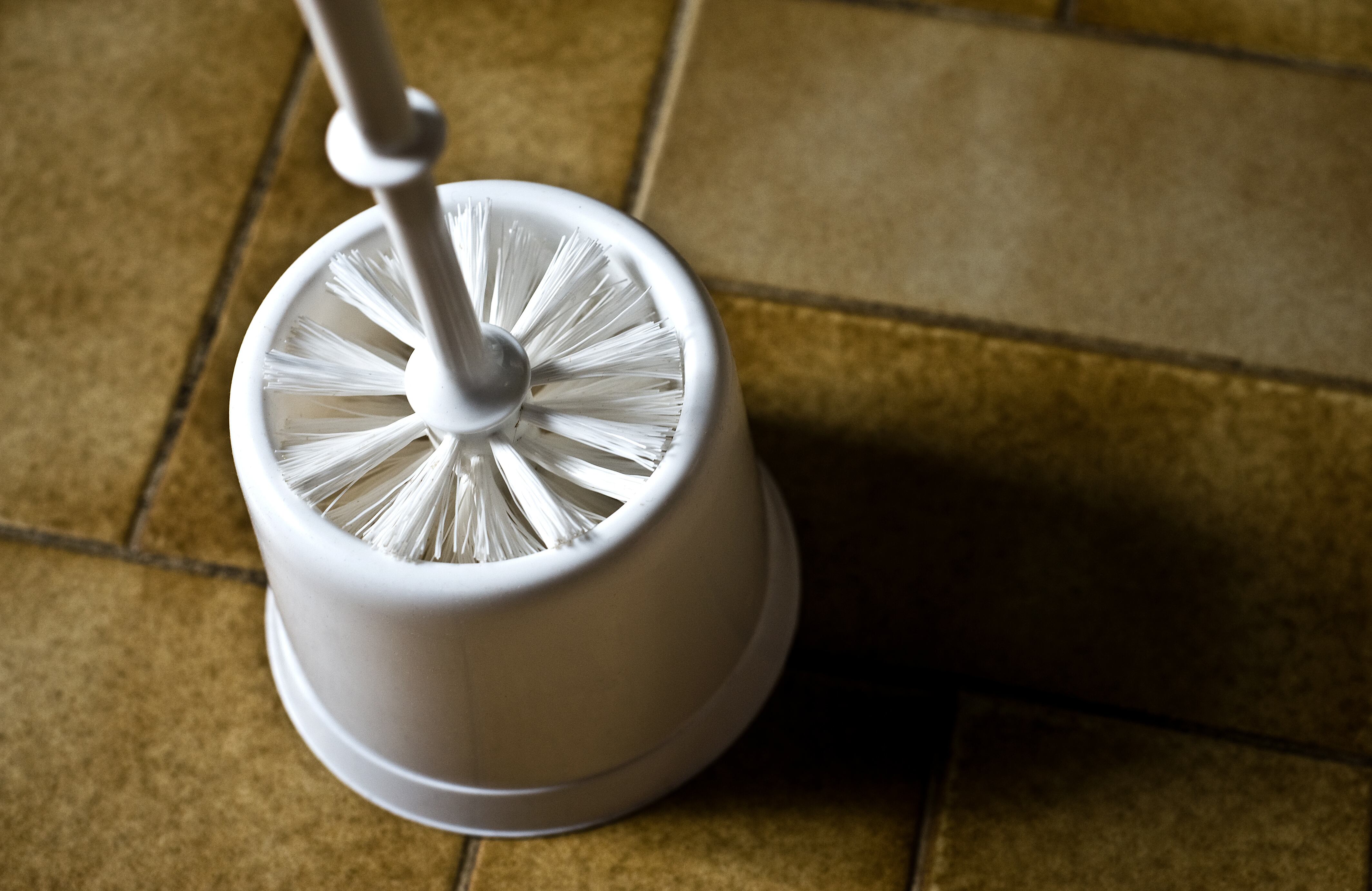 Escobilla o churrusco del baño