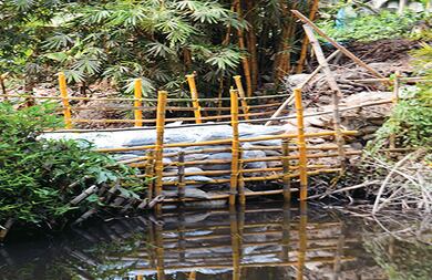 En Magdalena  los dueños de las fincas, especialmente los más poderosos y ricos, construyen diques o represas  para captar y desviar el agua a sus cultivos y potreros. Nadie controla este tipo de abusos.