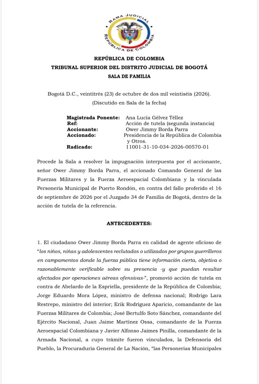 Fallo judicial sobre bombardeos