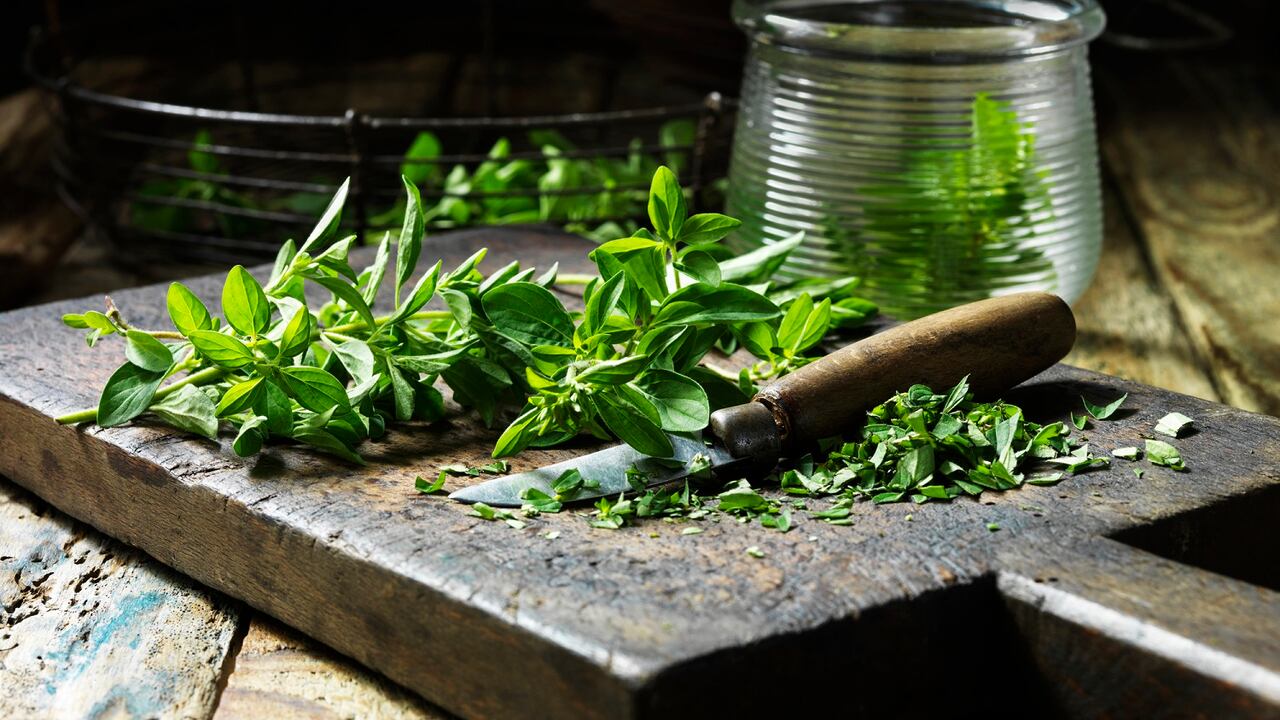 La mejorana no debe ser consumida por mujeres embarazadas.