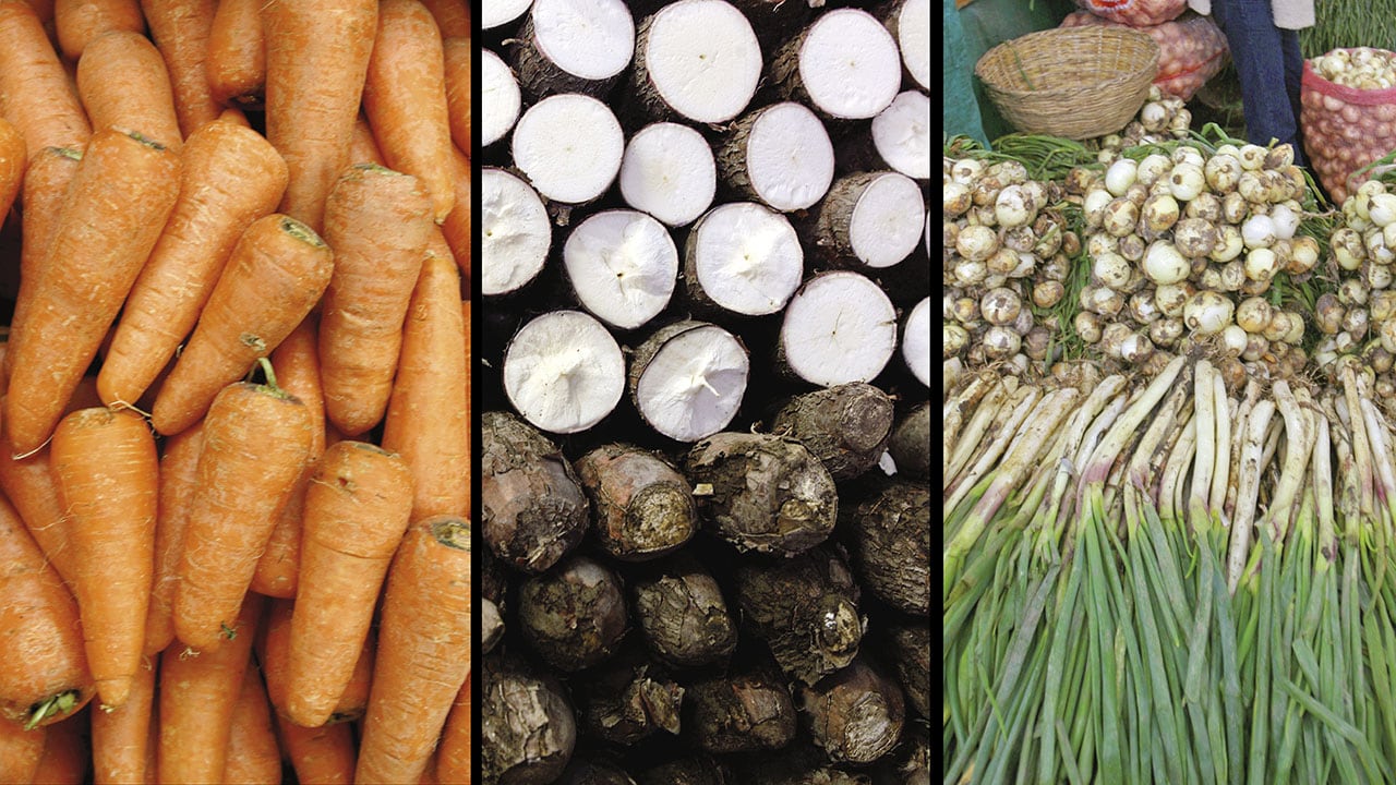 La yuca cerró el año terminado en octubre como el producto que más se ha encarecido de la canasta familiar. En ese podio la acompañan la cebolla, la zanahoria y el café.