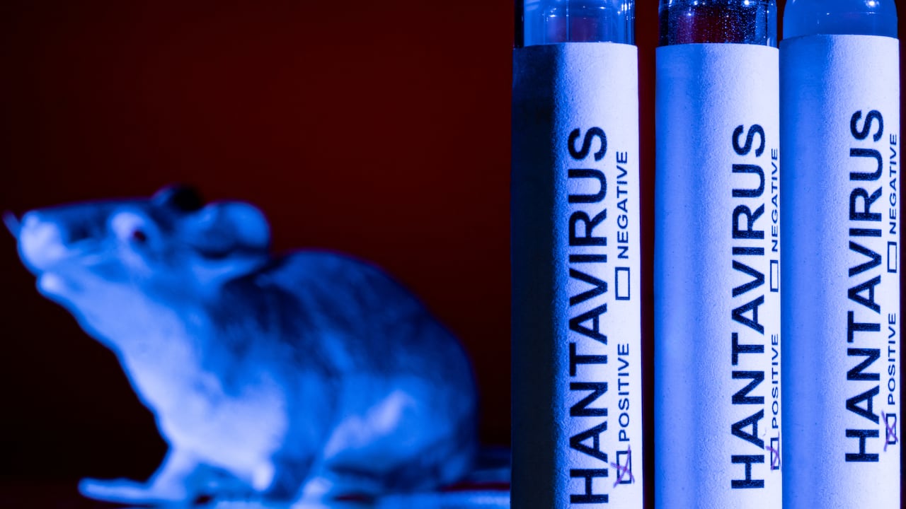 El director de la OMS afirmó este martes que el “trabajo no ha terminado” frente al hantavirus.
