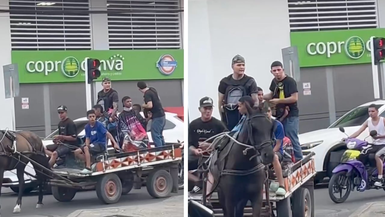 Jóvenes a bordo de un vehículo de tracción animal en Tuluá.