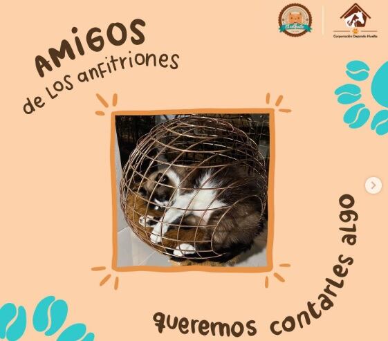 Cierran elcatfesito en Medellín