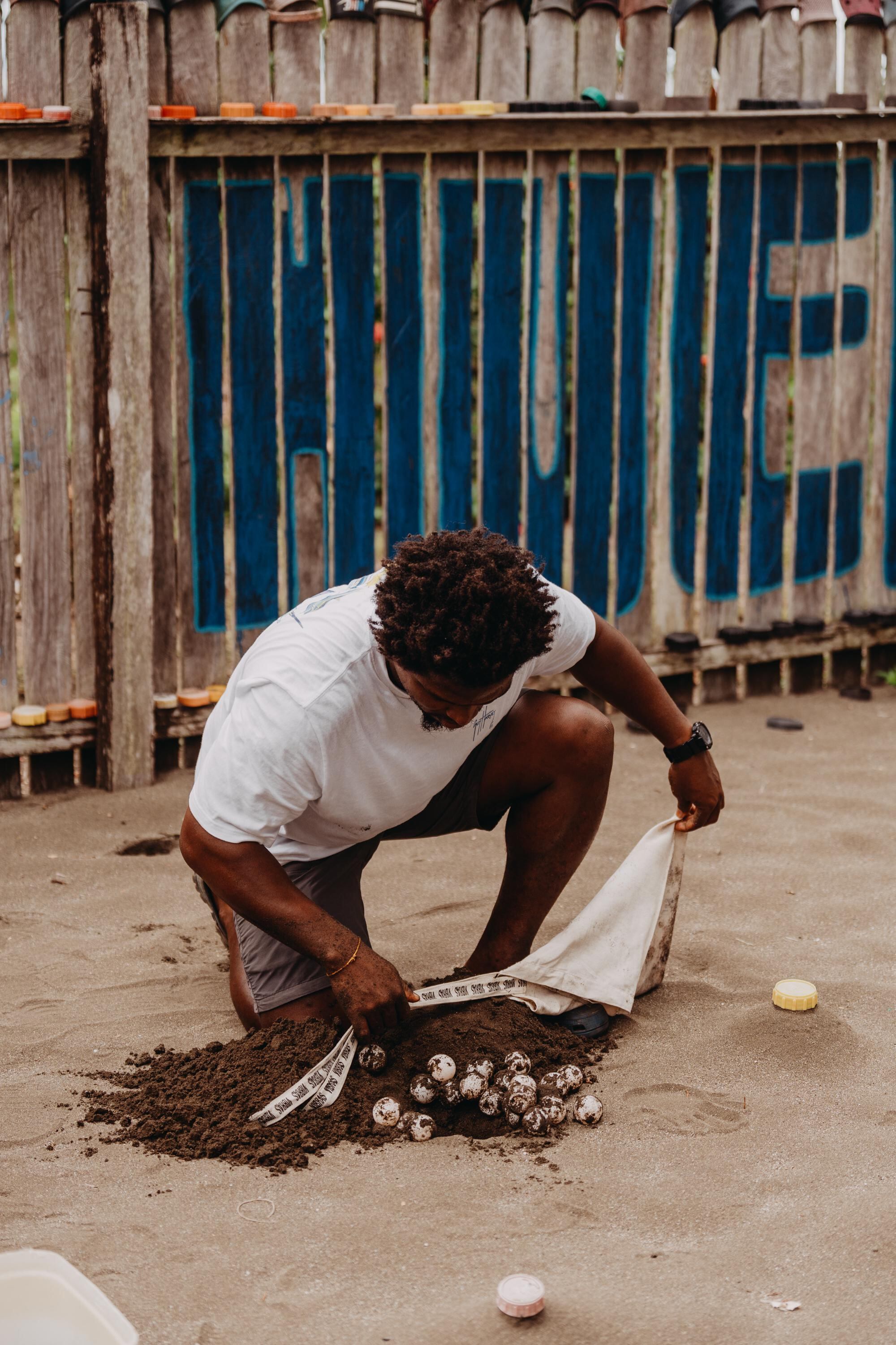 Los tortugarios son espacios sobre la playa donde se siembran los huevos para protegerlos.