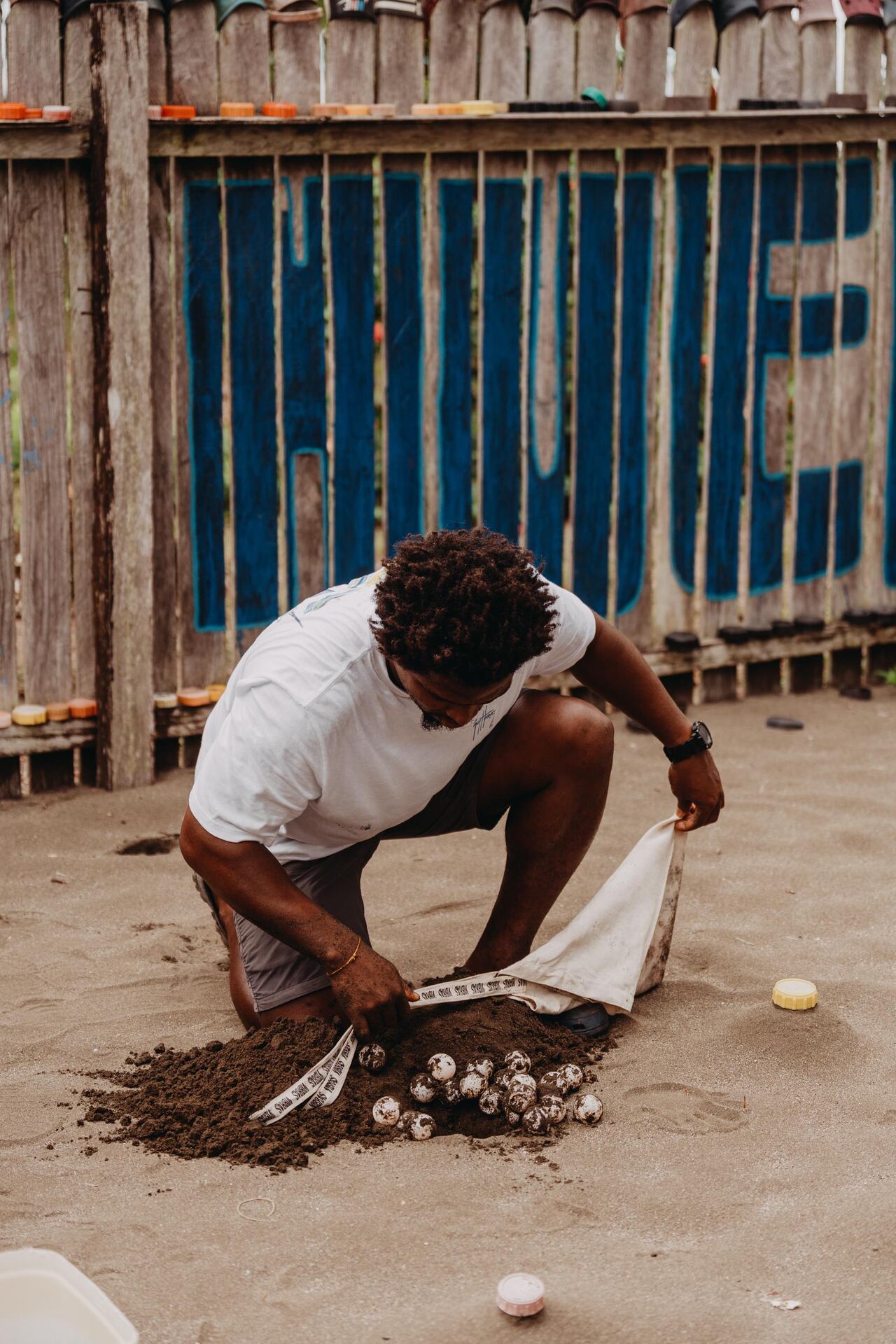 Los tortugarios son espacios sobre la playa donde se siembran los huevos para protegerlos.