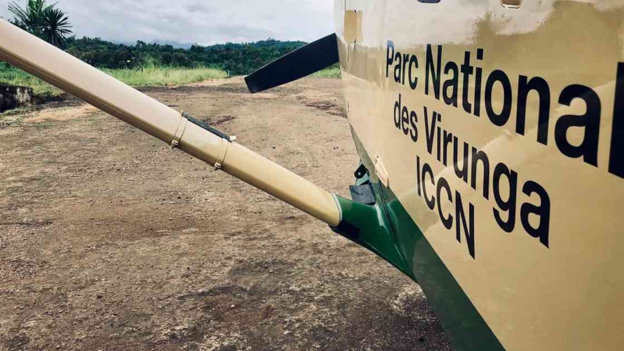 Virunga fue el primer parque nacional declarado en África. Foto: Parque Nacional Virunga.