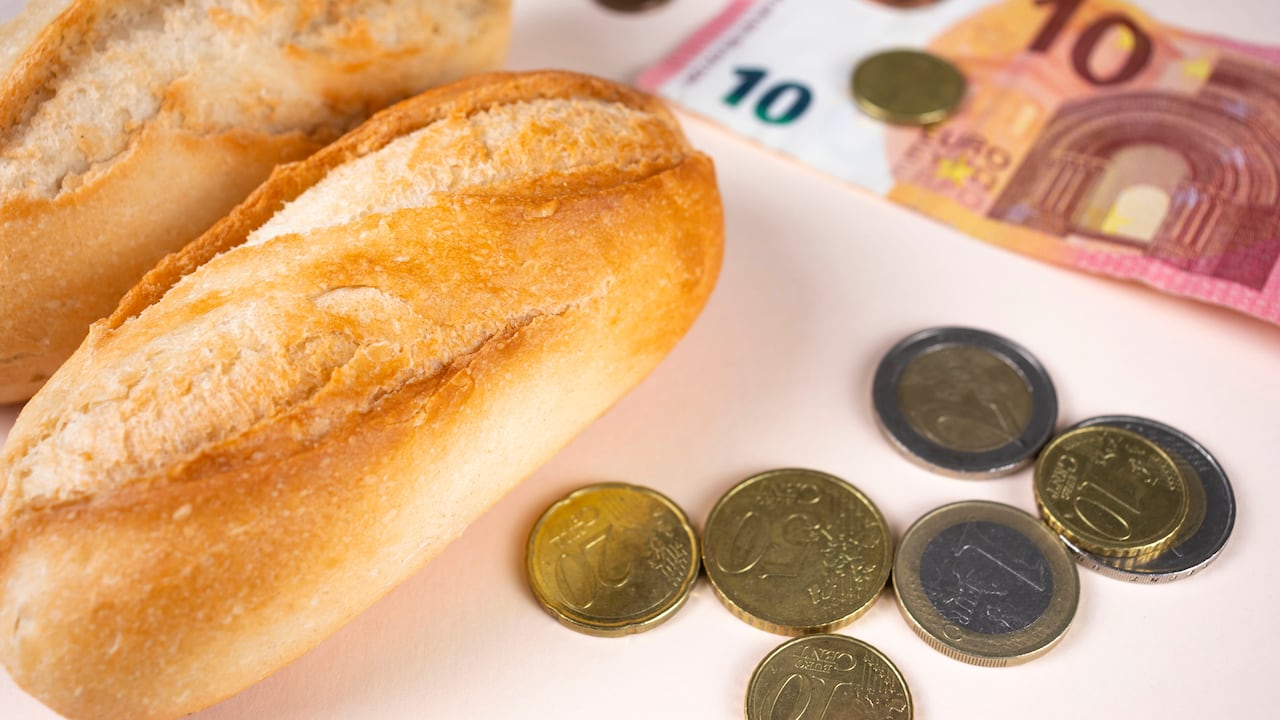 La divisa ha fluctuado su precio en los últimos días