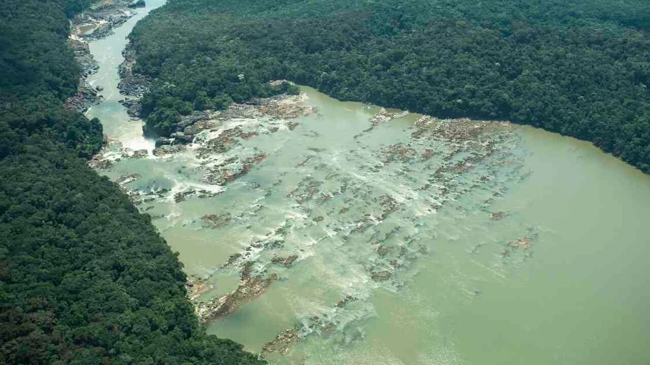 Ordenan la captura de jefes de disidencias por deforestación en la Amazonía