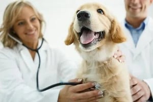 el beneficio gratuito al que pocos saben que pueden acceder con el Sisbén