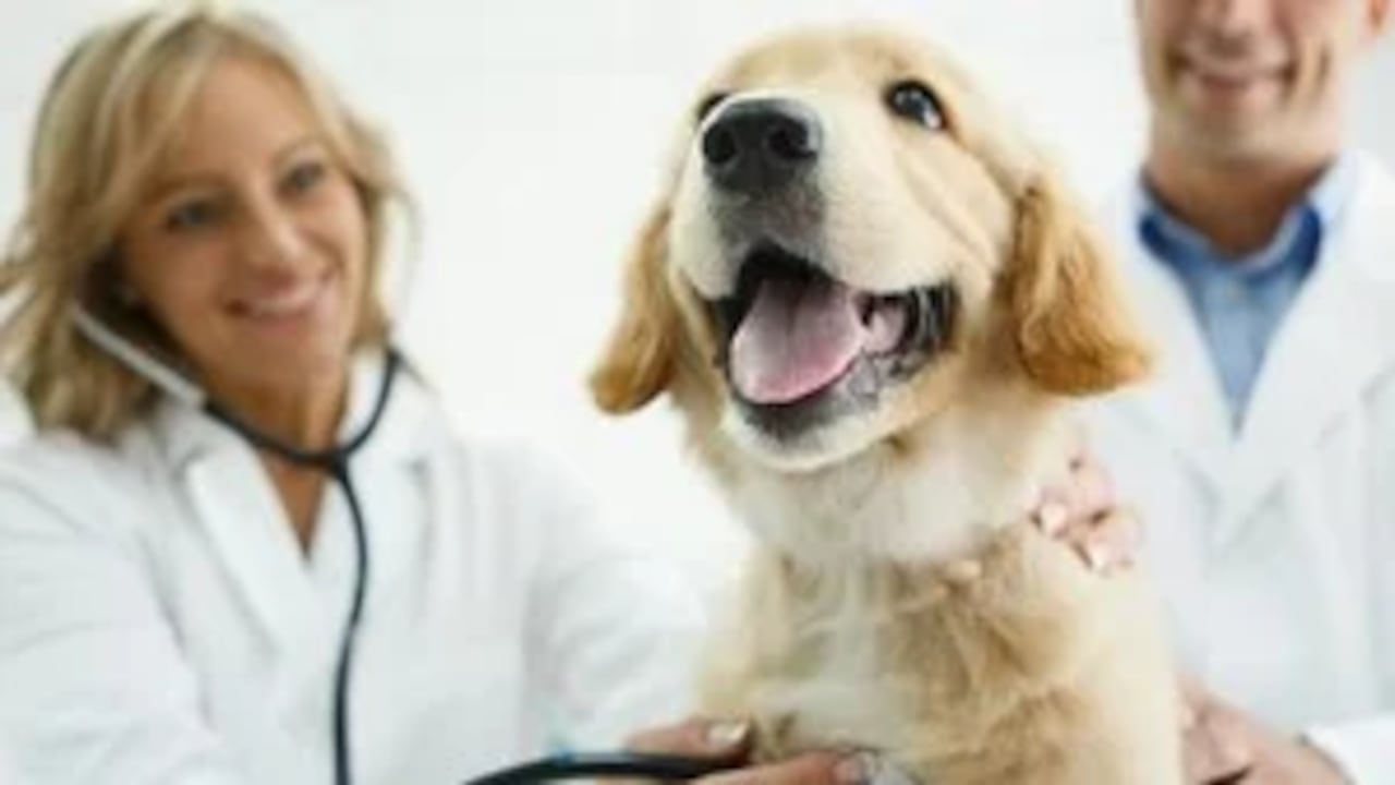 El beneficio gratuito al que pocos saben que pueden acceder con el Sisbén