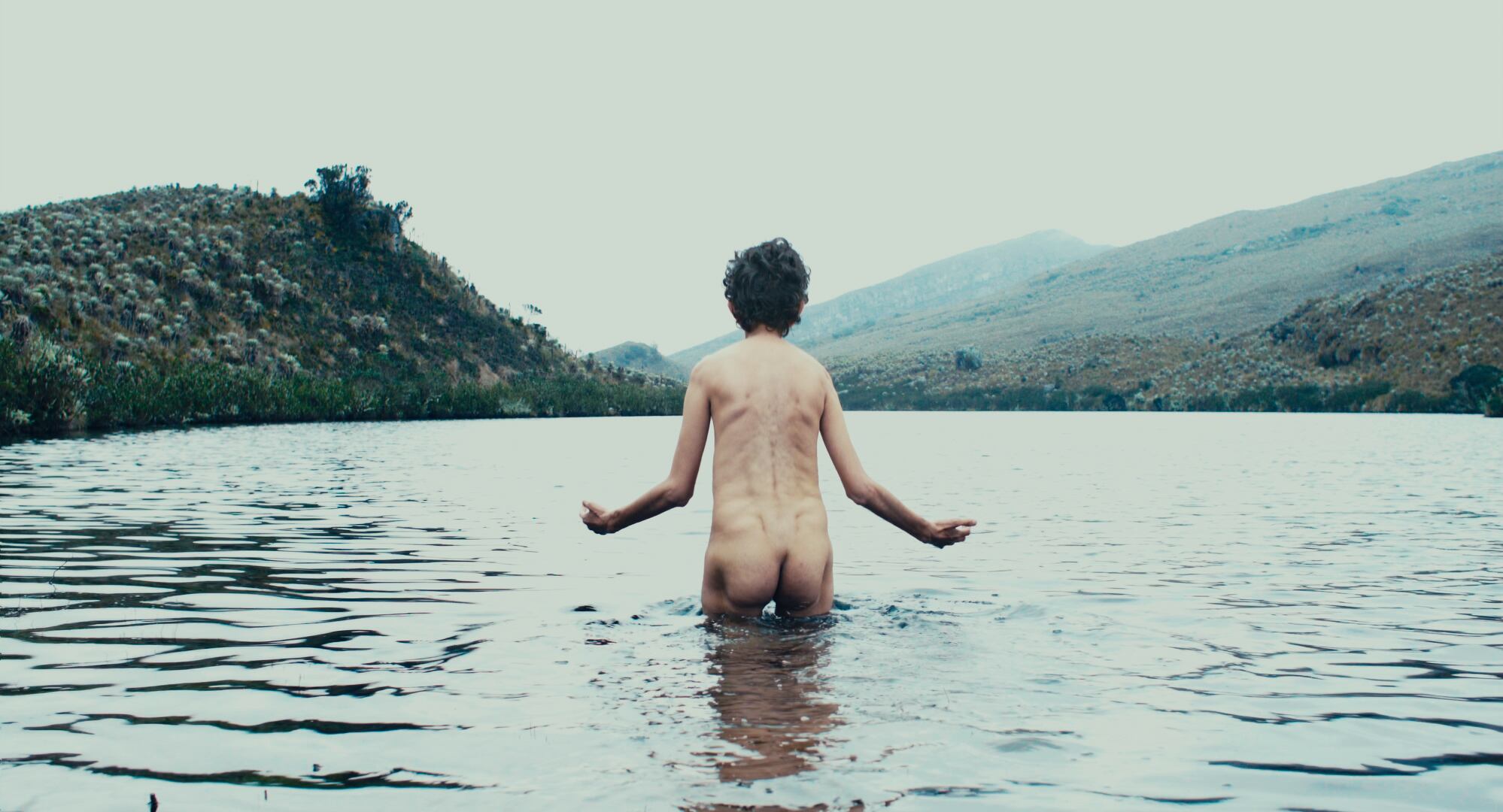 'Entre la niebla' de Augusto Sandino.