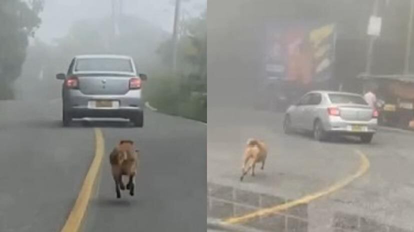 Los hechos se habrían presentado en la vía hacia el municipio de La Mesa de los Santos.