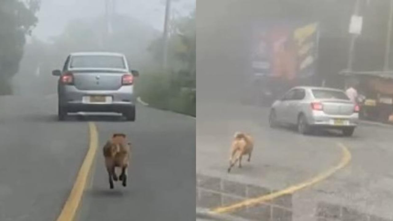Los hechos se habrían presentado en la vía hacia el municipio de La Mesa de los Santos.