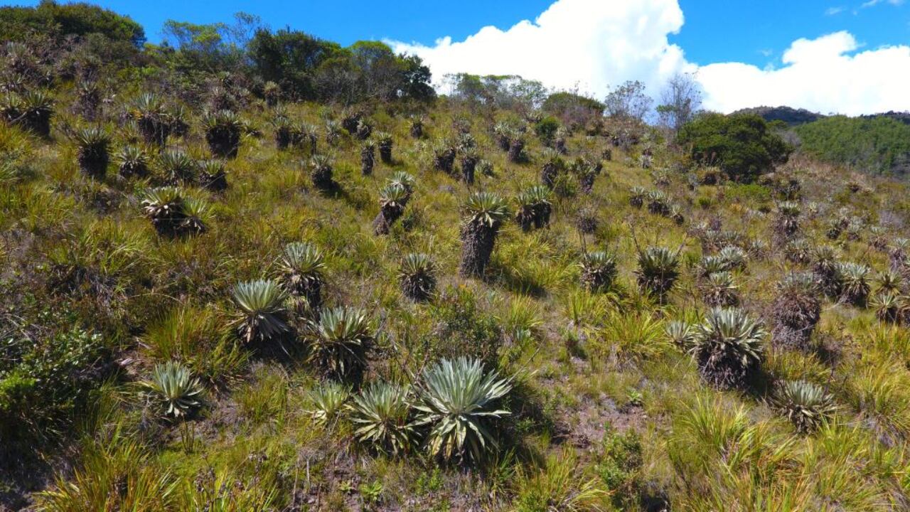 Reserva Natural La Choqueta