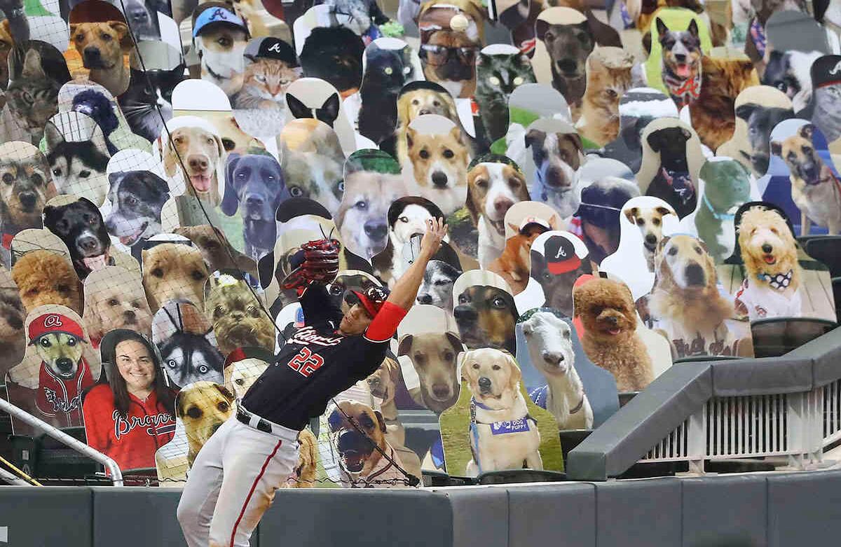 Una bola de falta de Freddie Freeman, jugador de los Bravos de Atlanta, se va al jardín izquierdo que tiene una tribuna llena con fotografías de perros. El jardinero de los Nacionales de Washington, Juan Soto, golpea la pared tratando de hacer la jugada durante la octava entrada de este juego de béisbol, el martes 18 de agosto en Atlanta. Foto: Curtis Compton / Atlanta Journal-Constitution vía AP