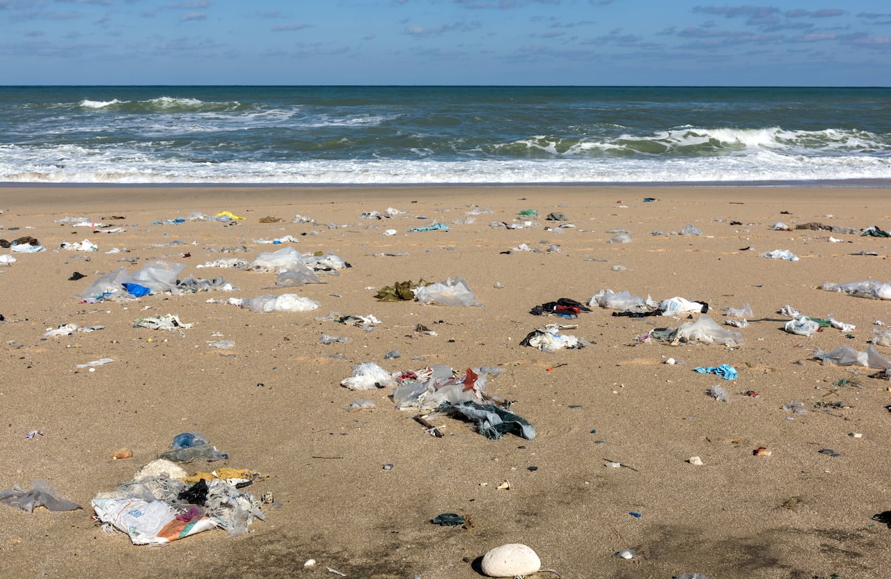 Contaminación en la playa.