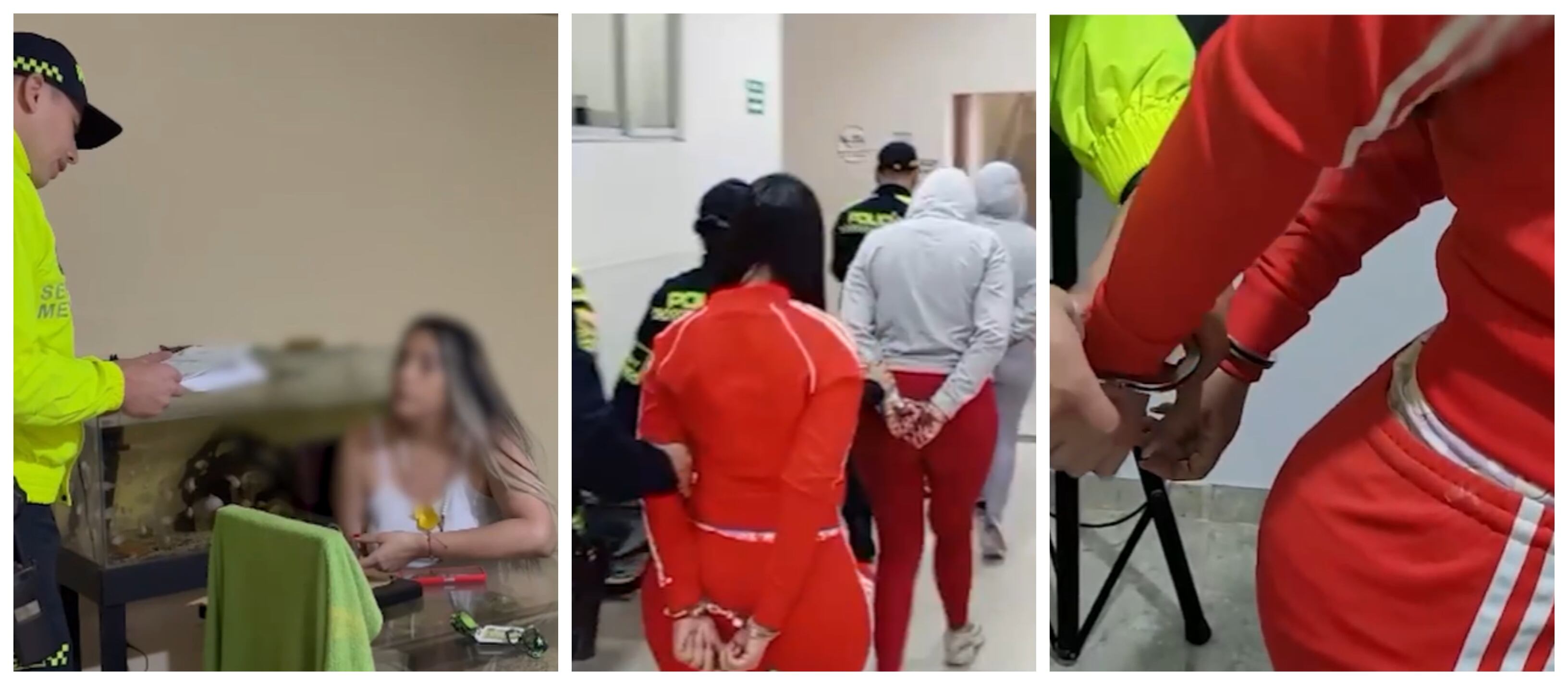 Tres mujeres, denominadas Las mamacitas, fueron detenidas por drogar con escopolamina a extranjeros para robarles en Medellín.