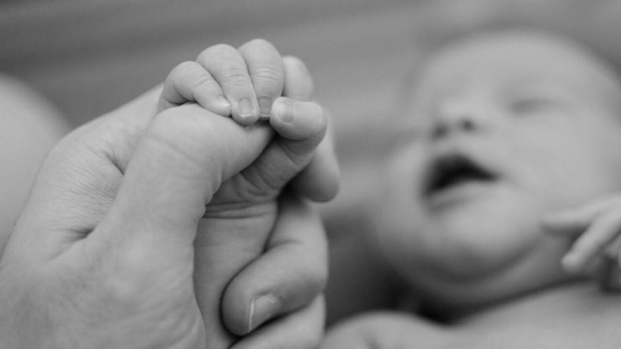 Se aprobó el informe de ponencia que plantea un aumento del fuero por maternidad de seis meses.