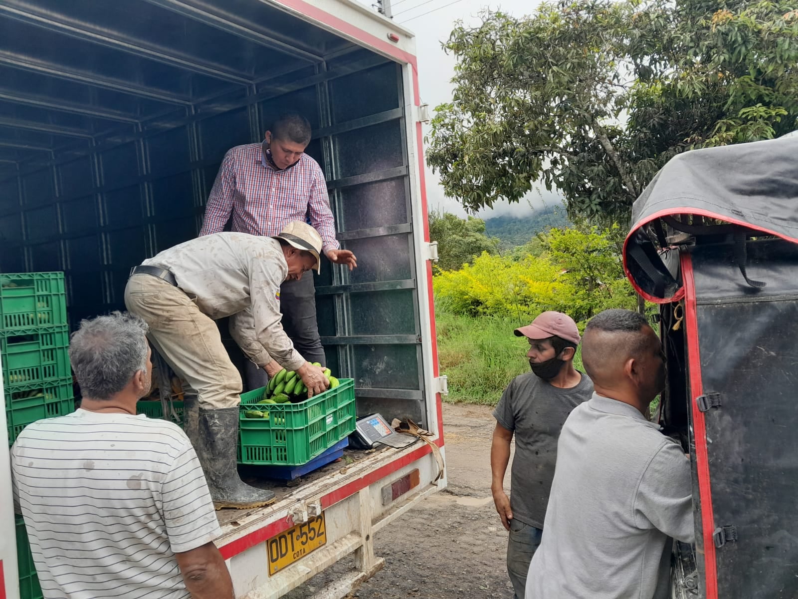 La Gobernación de Cundinamarca lanzó “Misión Rescate”, una estrategia de la para comprar las cosechas a los agricultores afectados por la emergencia invernal