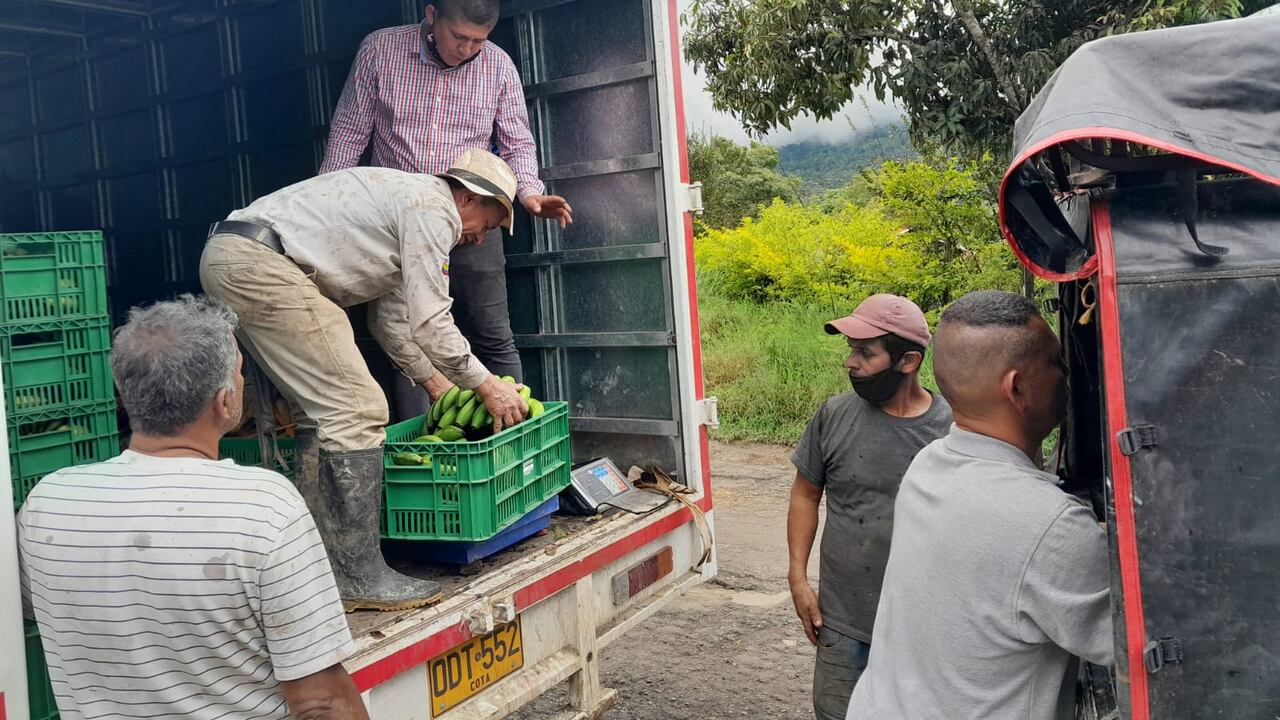 Inicia el desembolso de recursos a 363 emprendimientos rurales en Colombia.