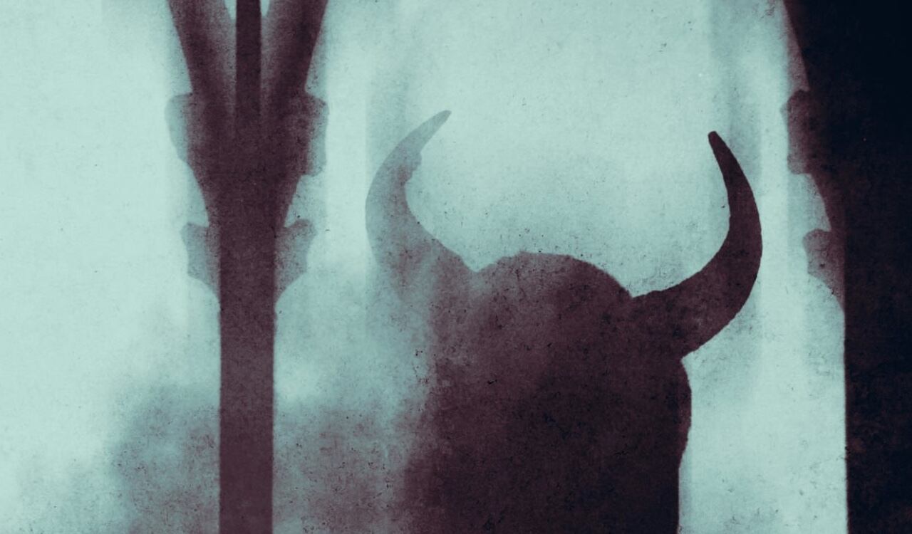 La madre de la menor, señalando que la pequeña, identificada como Arely, de ascendencia latina, estaba bajo el dominio de entidades paranormales, recurrió a dos de sus familiares, para adelantar lo que denominaron como ‘un acto de liberación’