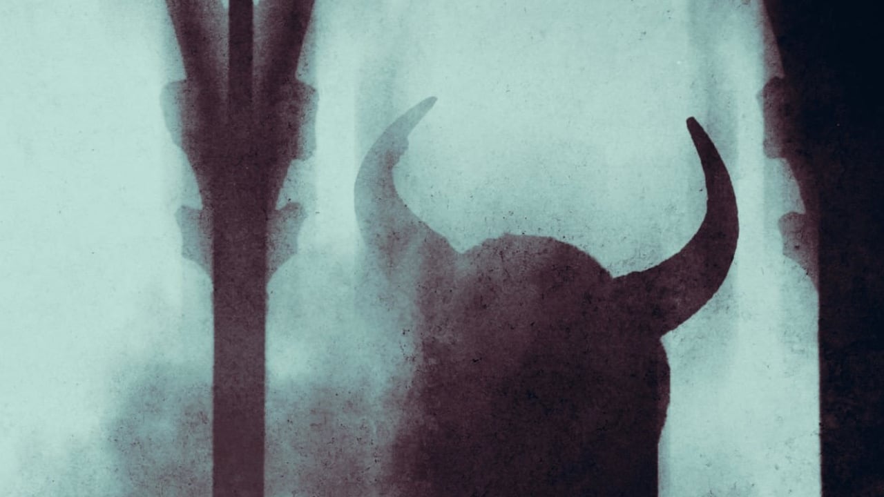 La madre de la menor, señalando que la pequeña, identificada como Arely, de ascendencia latina, estaba bajo el dominio de entidades paranormales, recurrió a dos de sus familiares, para adelantar lo que denominaron como ‘un acto de liberación’