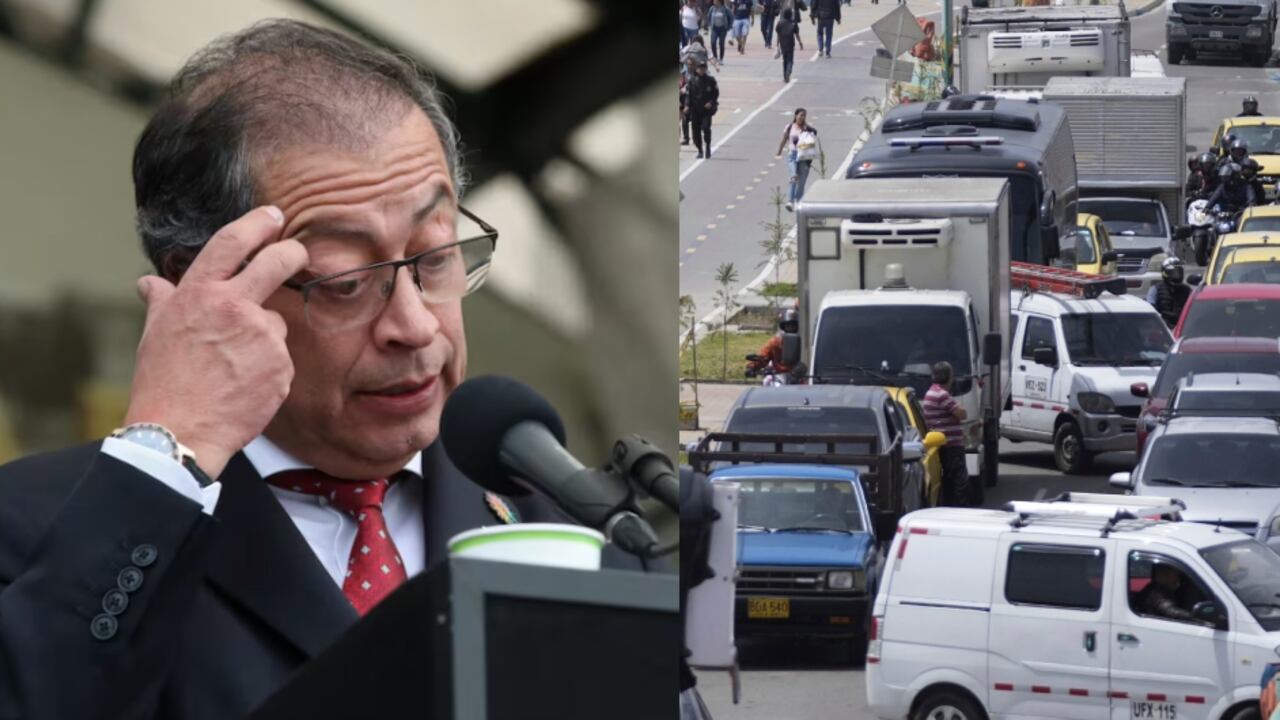 Petro y transportadores