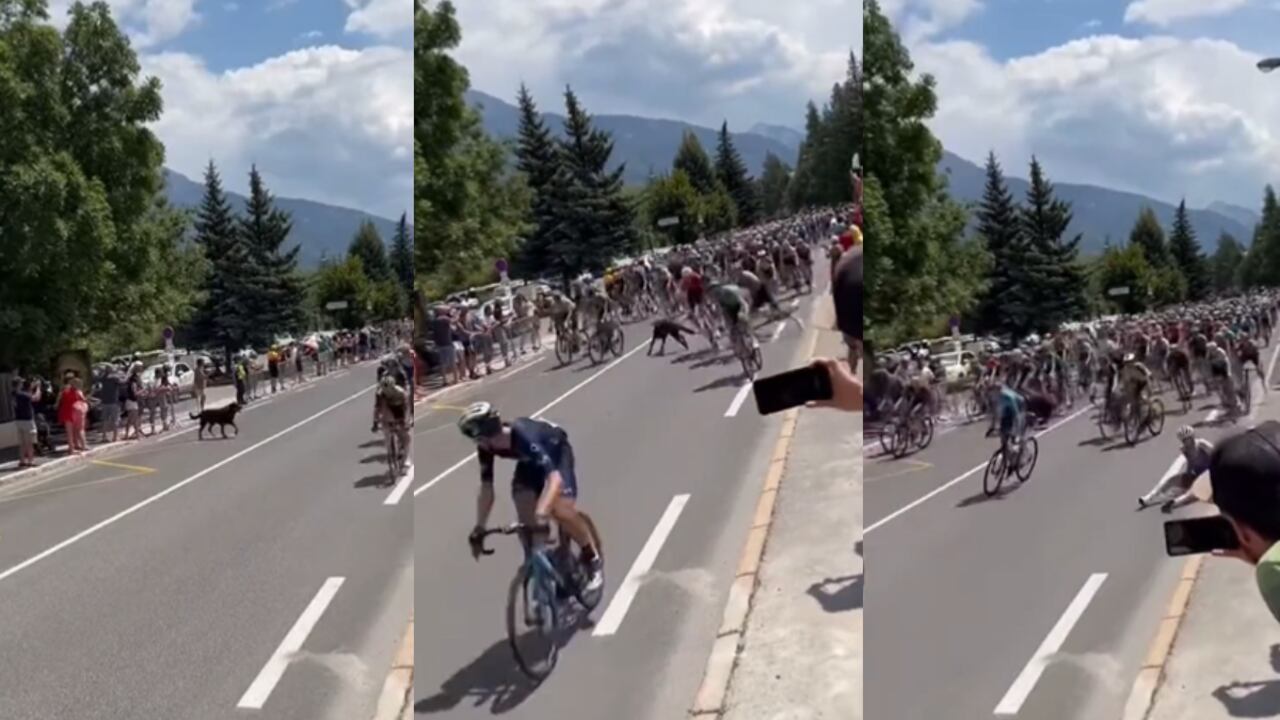 Tour de Francia 2022. Foto: Captura de pantalla @LeGruppetto