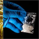 Red de narcotráfico usaba contenedores para mover cocaína hacia Europa escondida entre bananos; operaban con a complicidad de policías y funcionarios