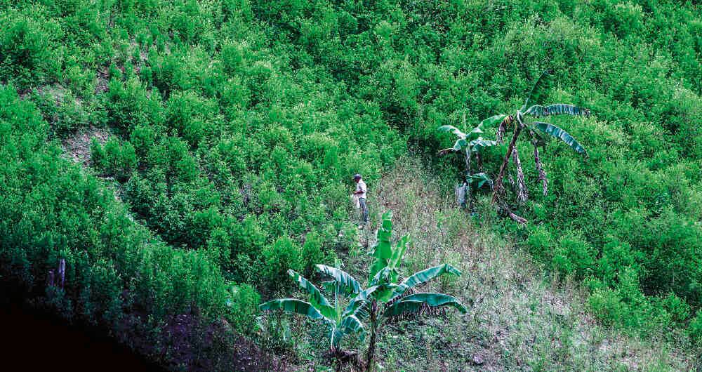 por-que-somos-los-unicos-03-1979