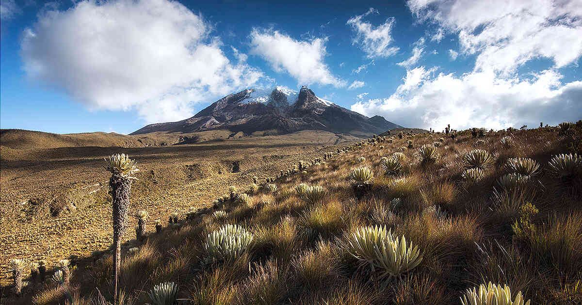 Foto: Parque de los Nevados. (Foto: Gabriel Eisenband (@gaboeisenband))