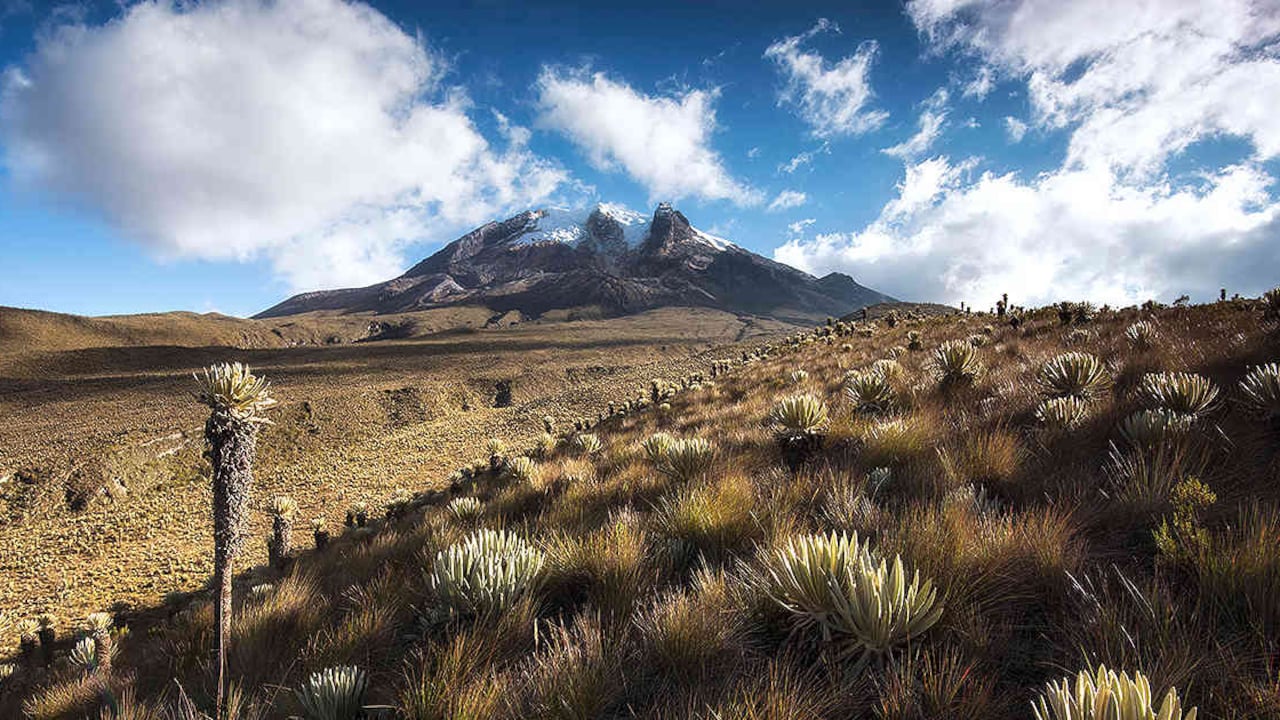Foto: Parque de los Nevados. (Foto: Gabriel Eisenband (@gaboeisenband))