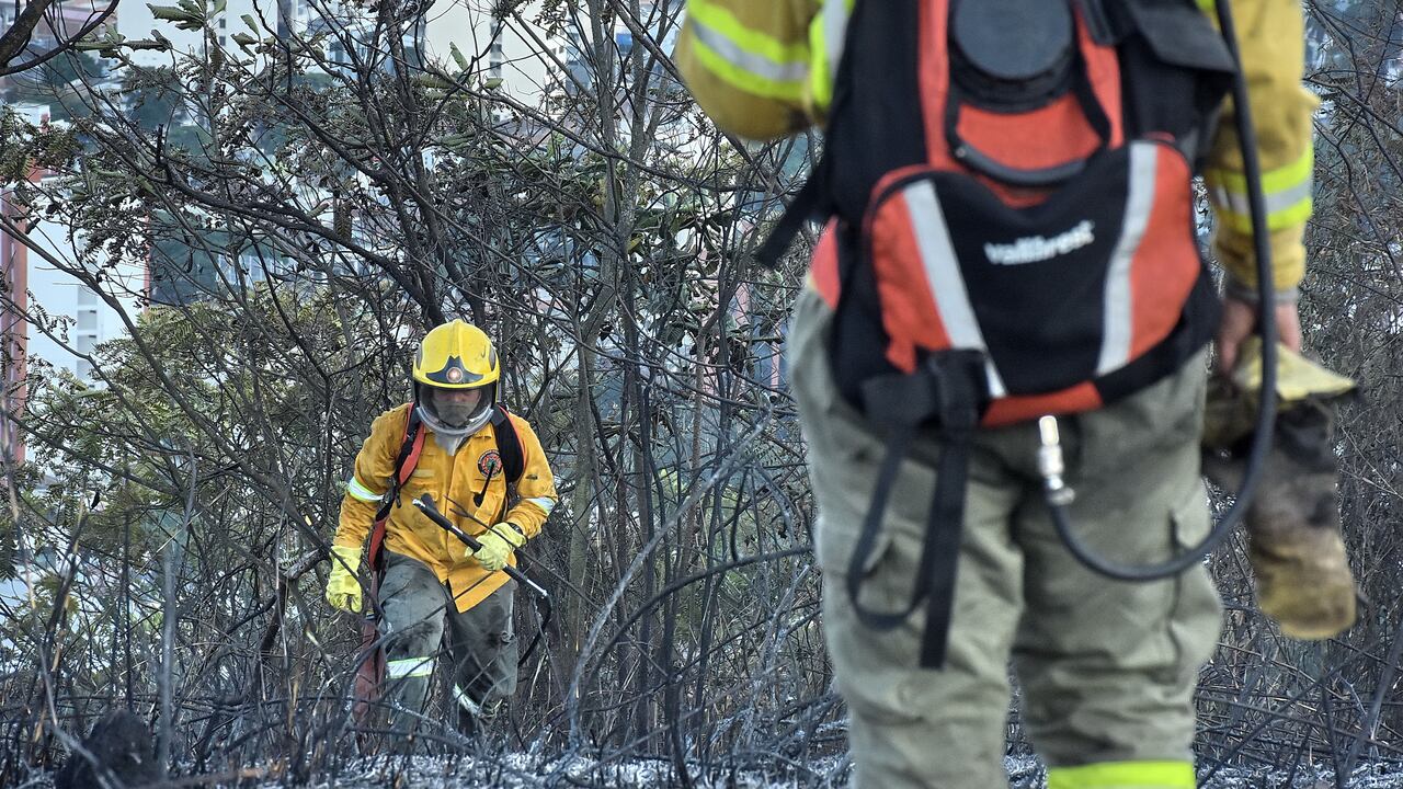 Incendio Forestal Santa Mónica Residencial