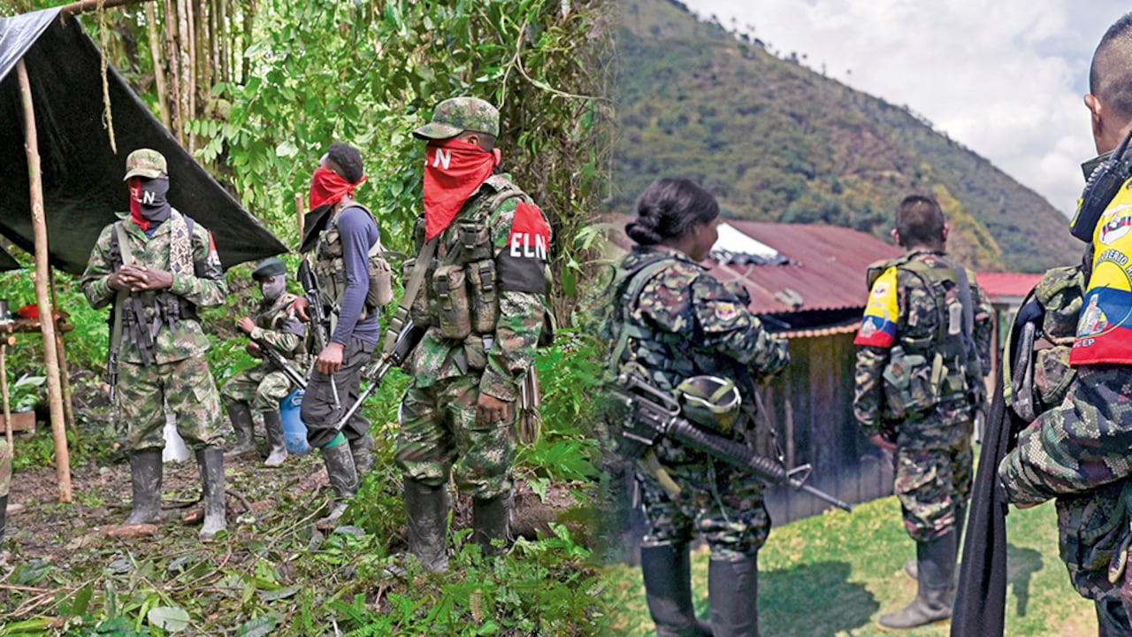El ELN y las disidencias de las Farc mantienen una guerra por el narcotráfico en el Catatumbo, en Norte de Santander.