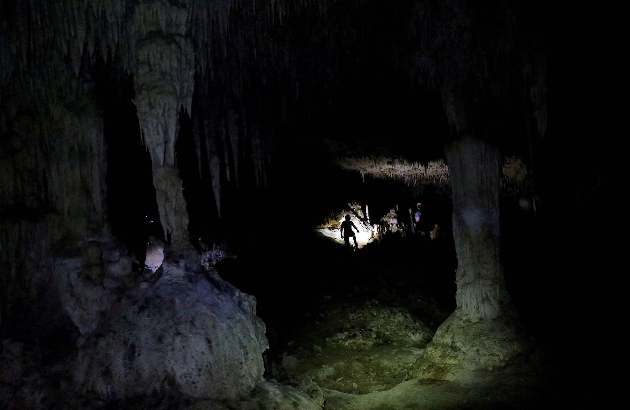 Fotos de la semana 15 diciembre