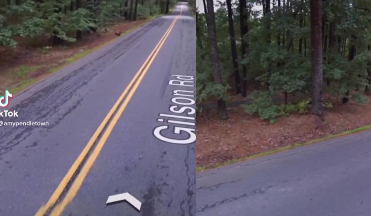 Las imágenes llamaron la atención de los usuarios en las redes sociales quienes especularon sobre su veracidad