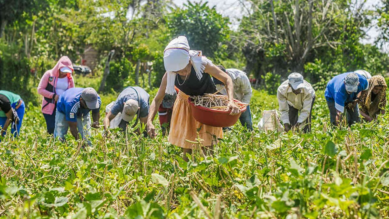 La Gobernación de Boyacá prevé invertir 30.000 millones de pesos para estimular y mejorar las condiciones del campo.