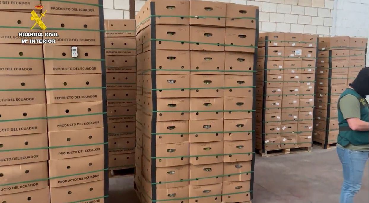 La cocaína iba camuflada en cajas de banano