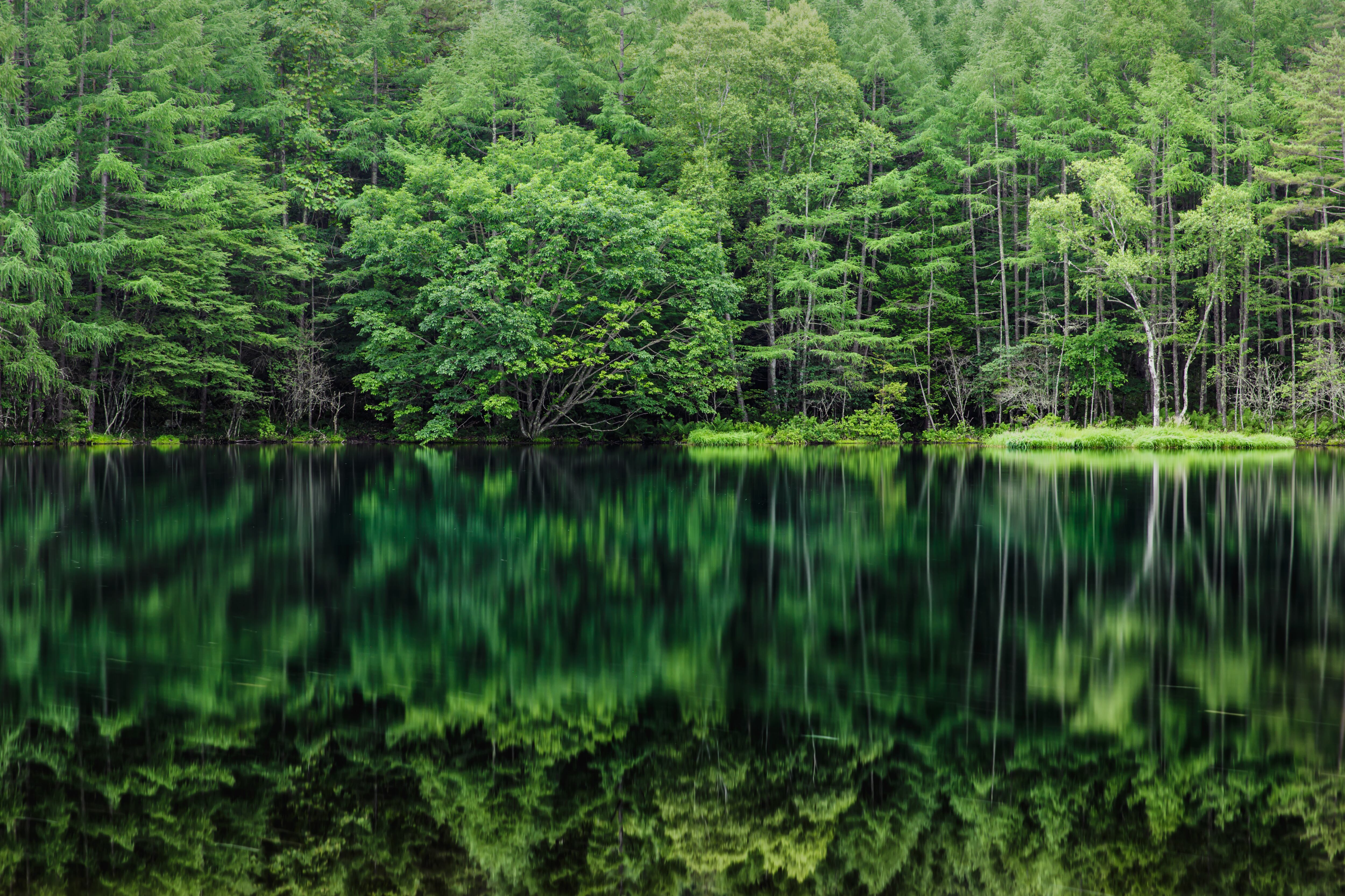El paisaje de Mishakaike en la ciudad de Chino, Nagano