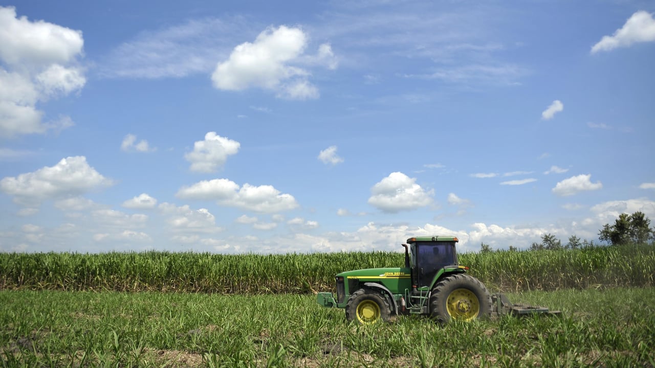 La agroindustria es uno de los pilares que han defendido el crecimiento económico en el país.