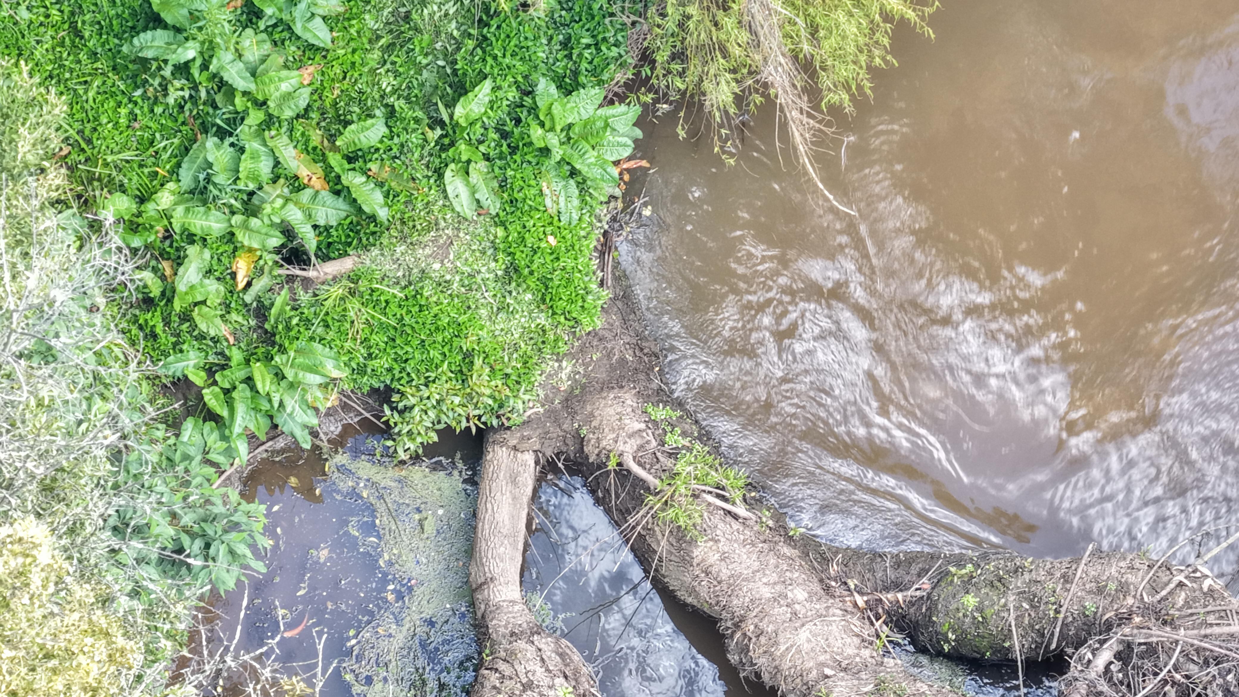 Las autoridades adelantan la búsqueda con drones.