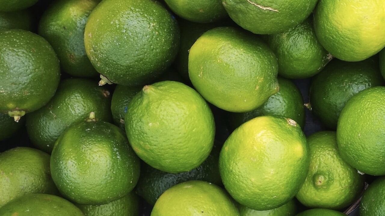 Este truco natural es el más efectivo para alejar a las moscas y mosquitos del hogar.