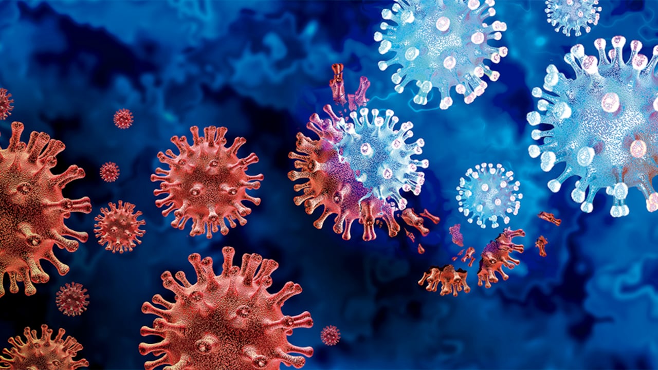 La nueva subvariante de la ómicron ha sido llamada “ómicron silencioso o stealth ómicron”.